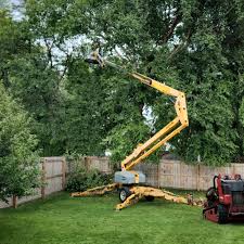 Reliable Lakemont, PA Tree Removal and Landscaping Services Solutions